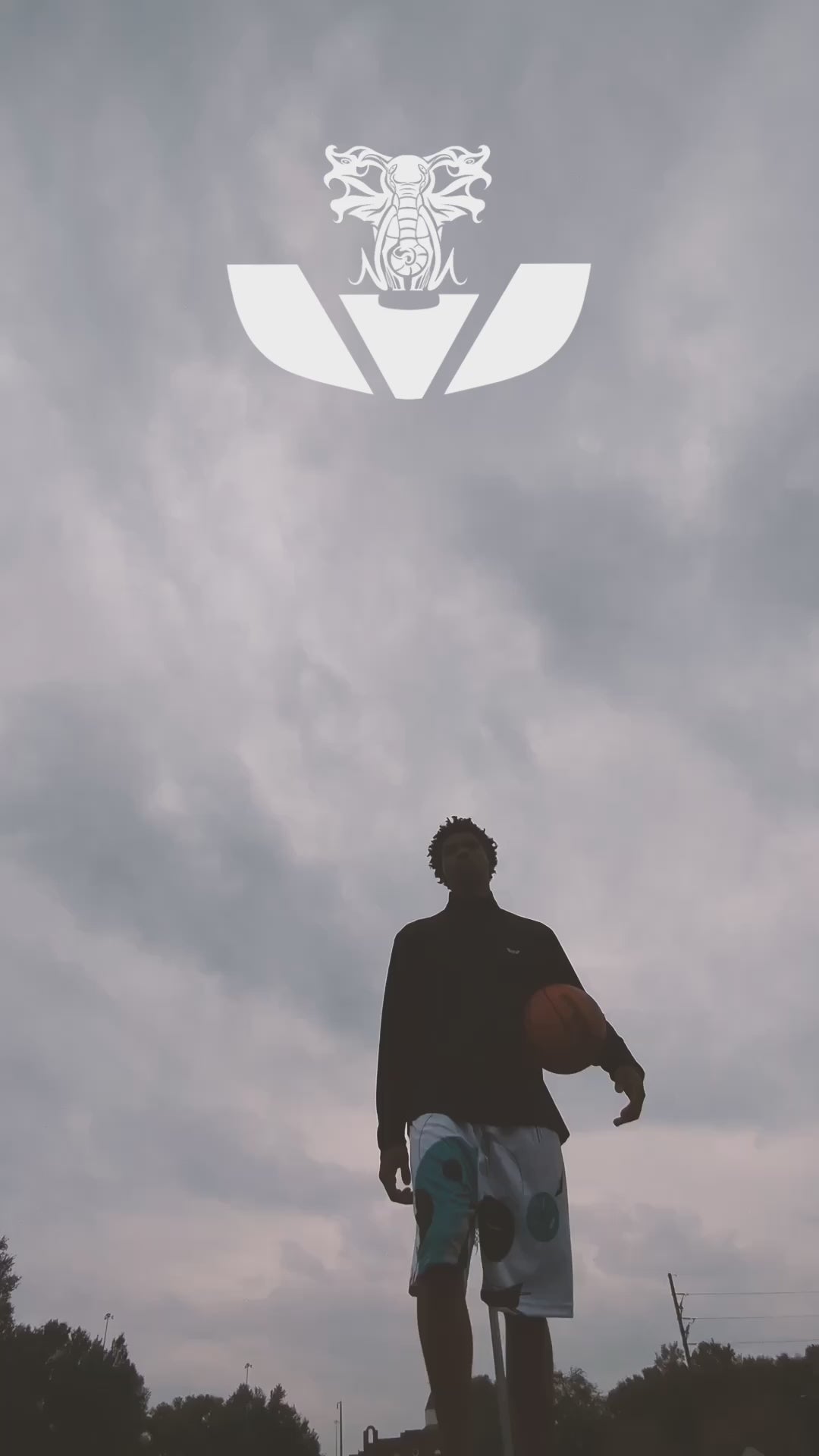 Load video: Aniark’s First ever video production, starring Toviel Raggins.